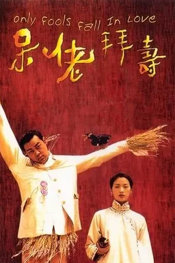 Poster for Only Fools Fall in Love (1995)