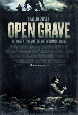Poster for Open Grave (2013)