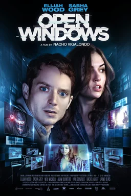 Poster for Open Windows (2014)