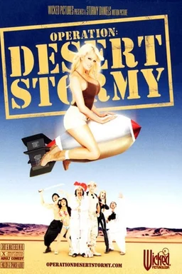 Poster for Operation: Desert Stormy (2007)