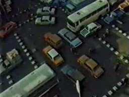 Poster for Orderly or Disorderly (1981)